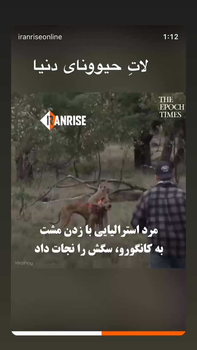  جدید ترین استوری اینستاگرام طاها بذرافشان