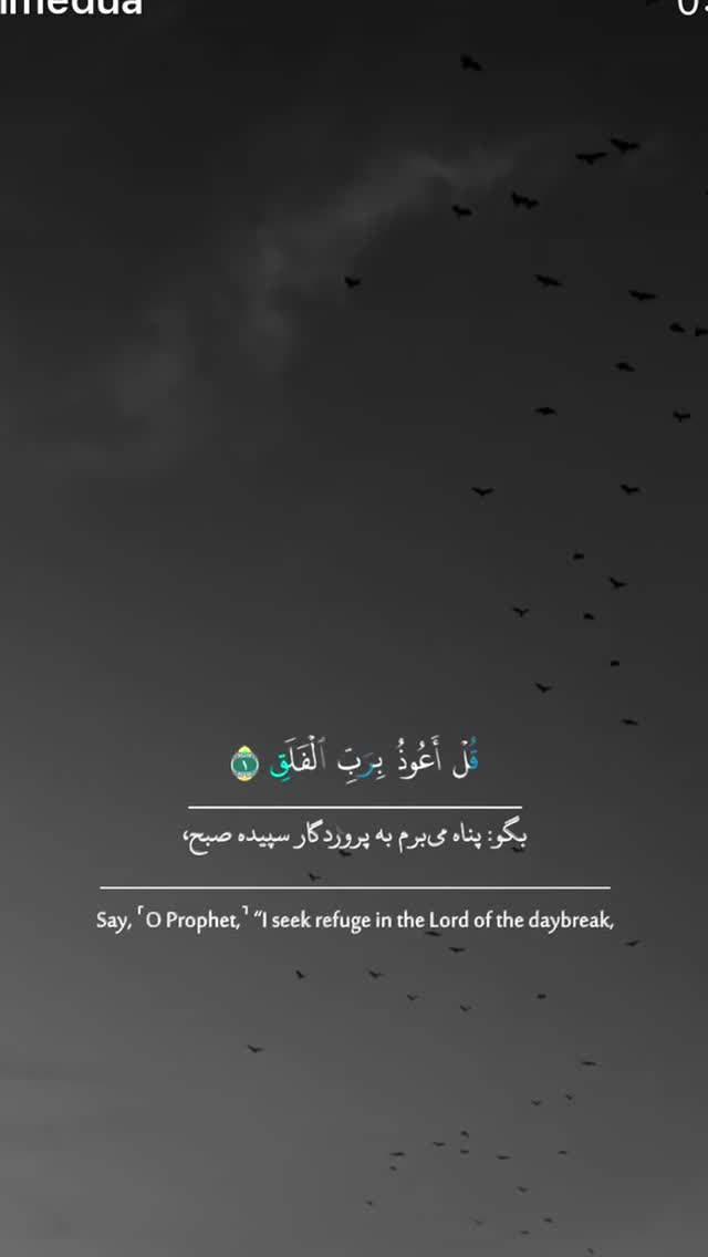  جدید ترین استوری اینستاگرام طاها بذرافشان