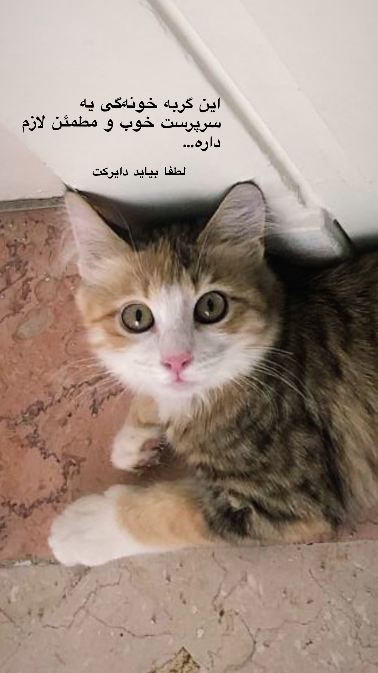  جدید ترین استوری اینستاگرام طاها بذرافشان