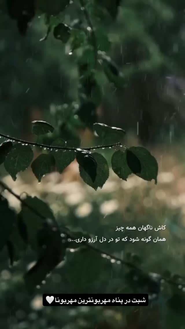  جدید ترین استوری اینستاگرام طاهره پورصابری
