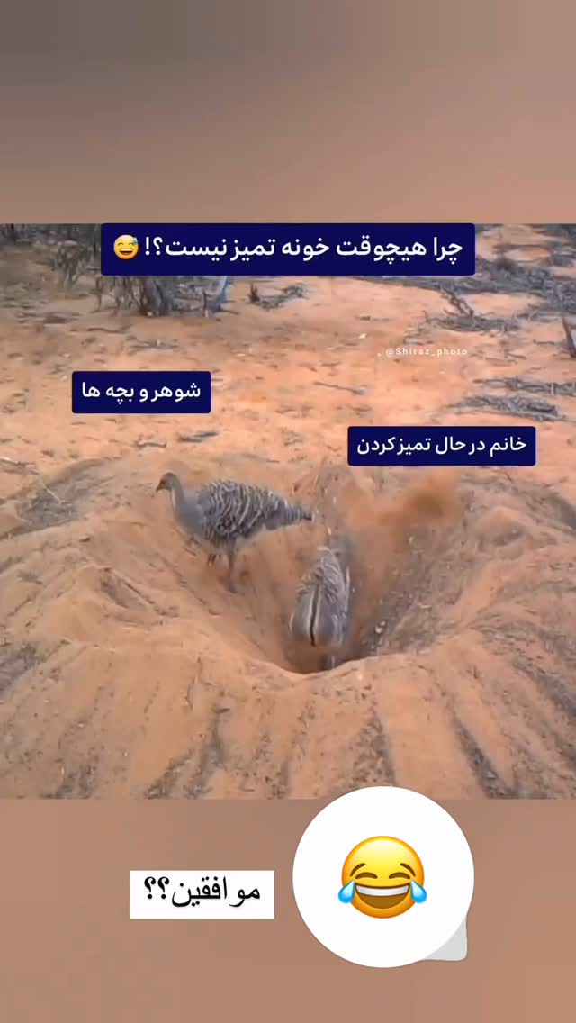  جدید ترین استوری اینستاگرام طاهره پورصابری