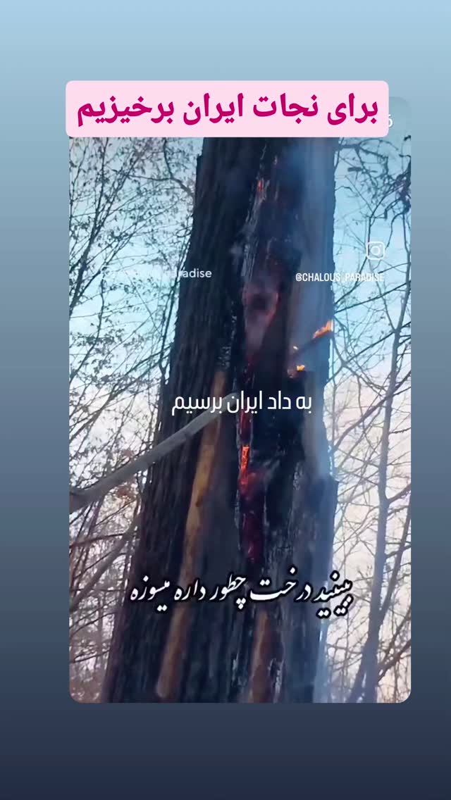  جدید ترین استوری اینستاگرام طاهره ایبد
