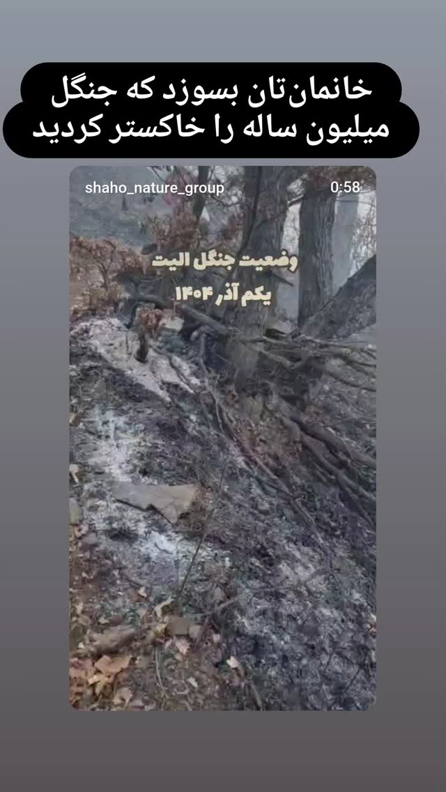  جدید ترین استوری اینستاگرام طاهره ایبد