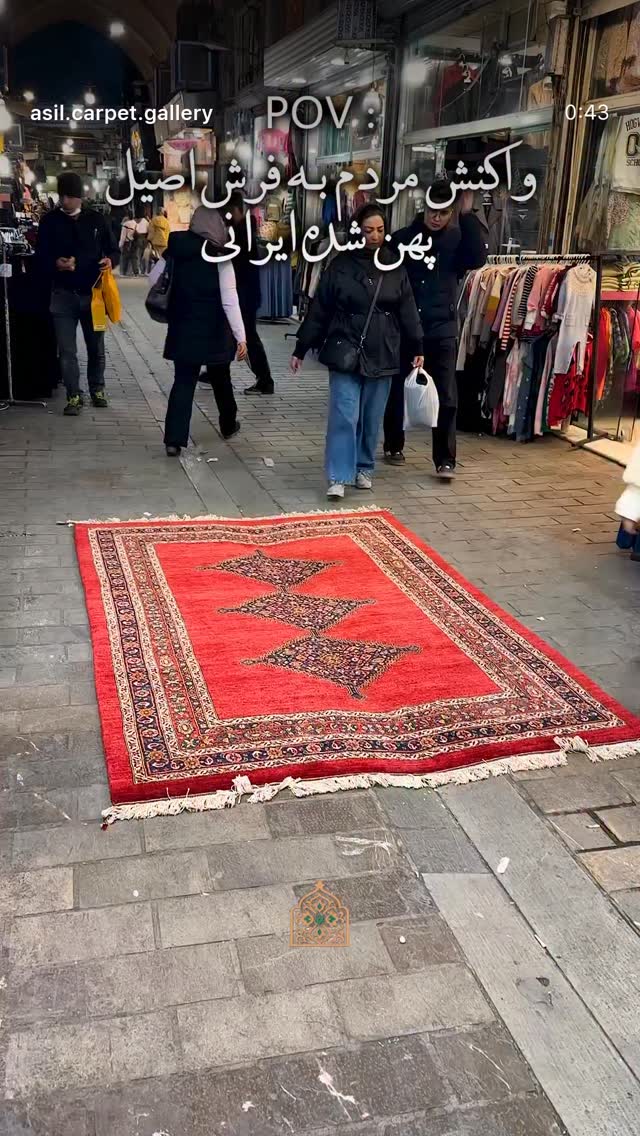  جدید ترین استوری اینستاگرام تهمینه میلانی