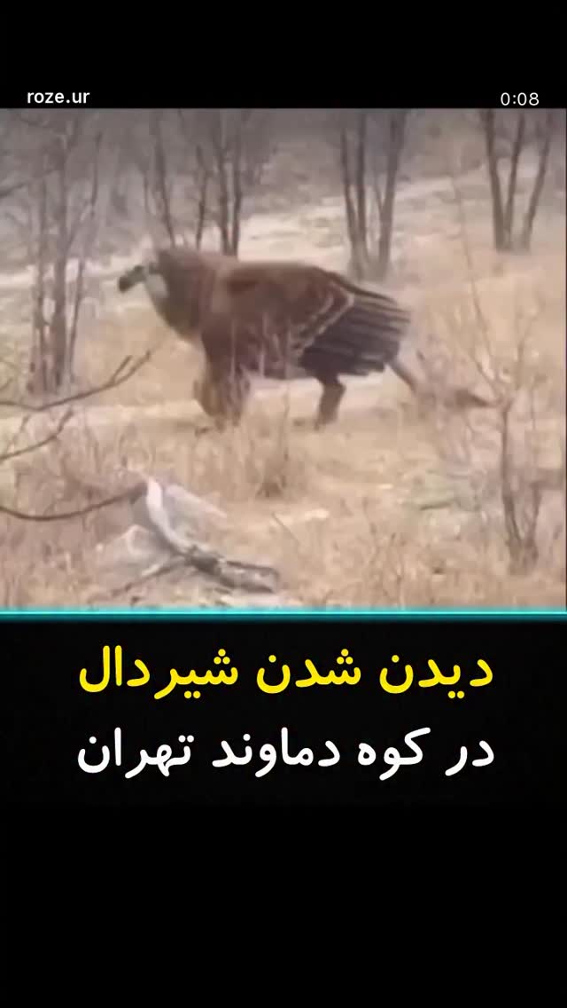  جدید ترین استوری اینستاگرام تهمینه میلانی