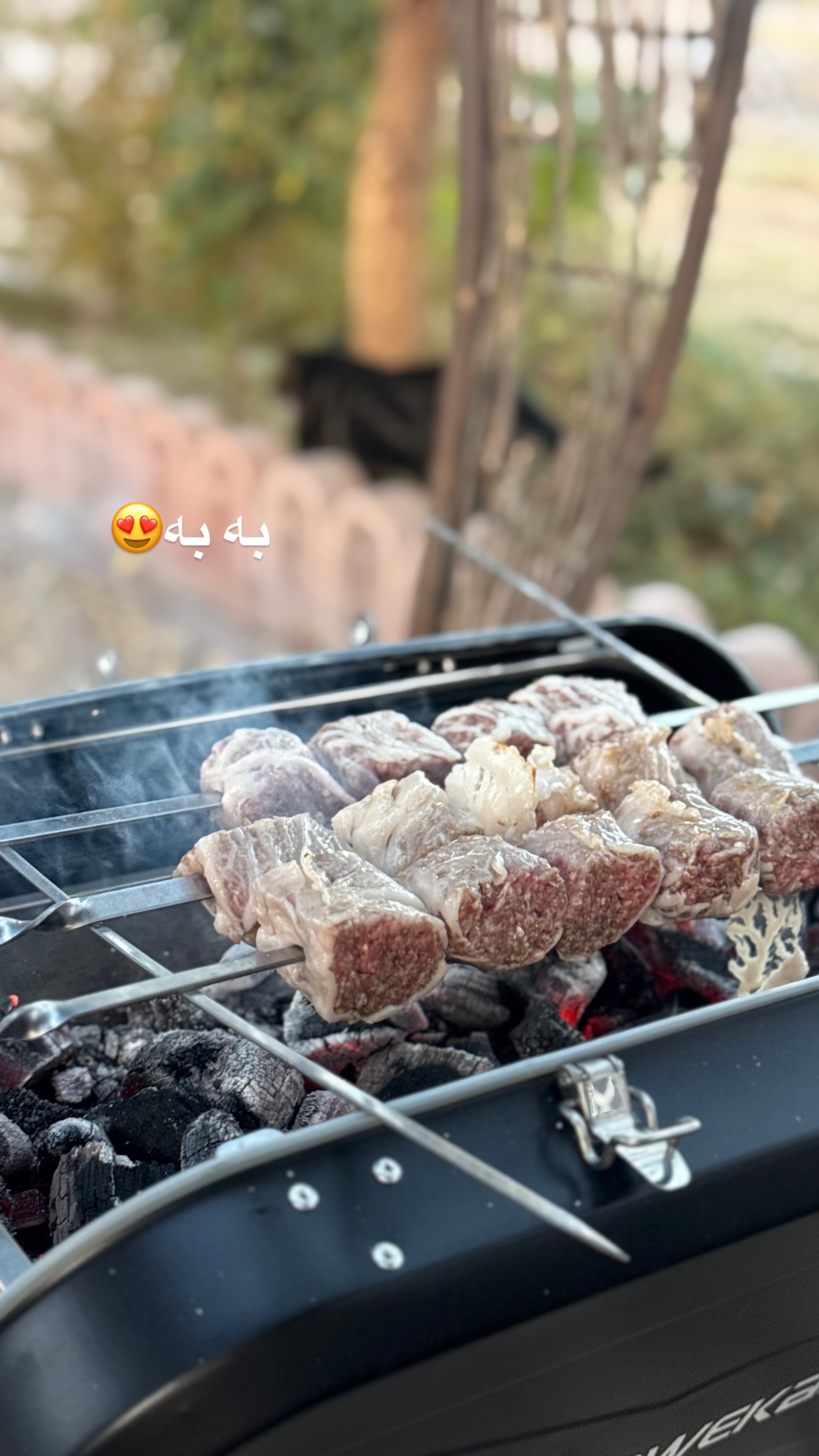  جدید ترین استوری اینستاگرام تاینا افشاری