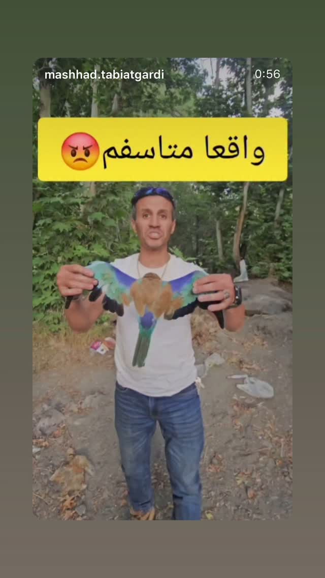  جدید ترین استوری اینستاگرام طناز طباطبایی