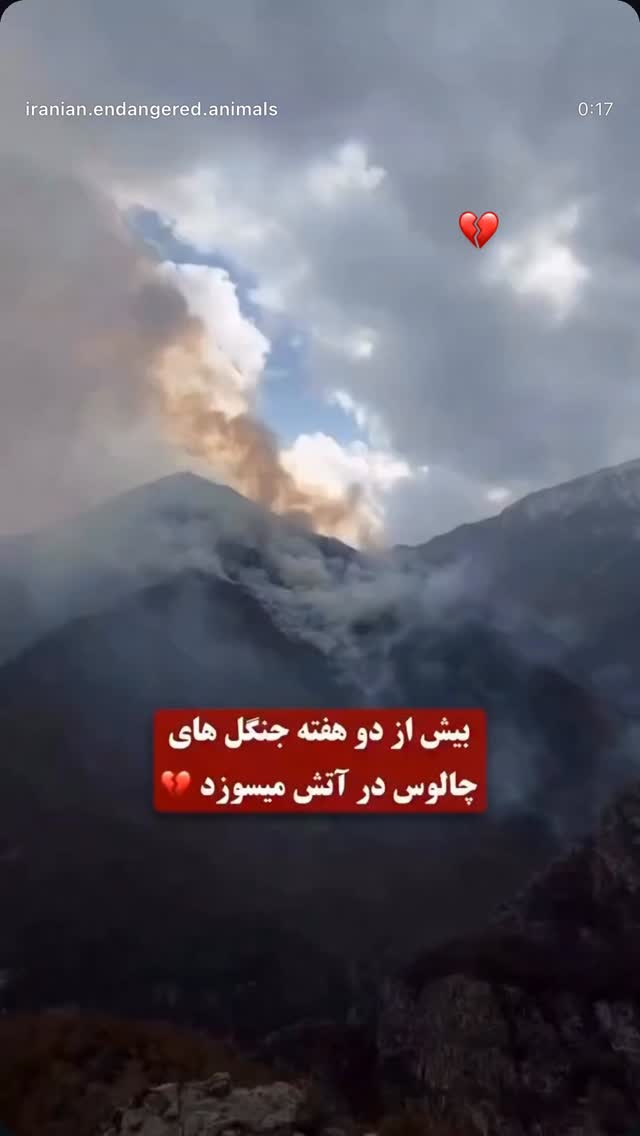  جدید ترین استوری اینستاگرام طناز طباطبایی