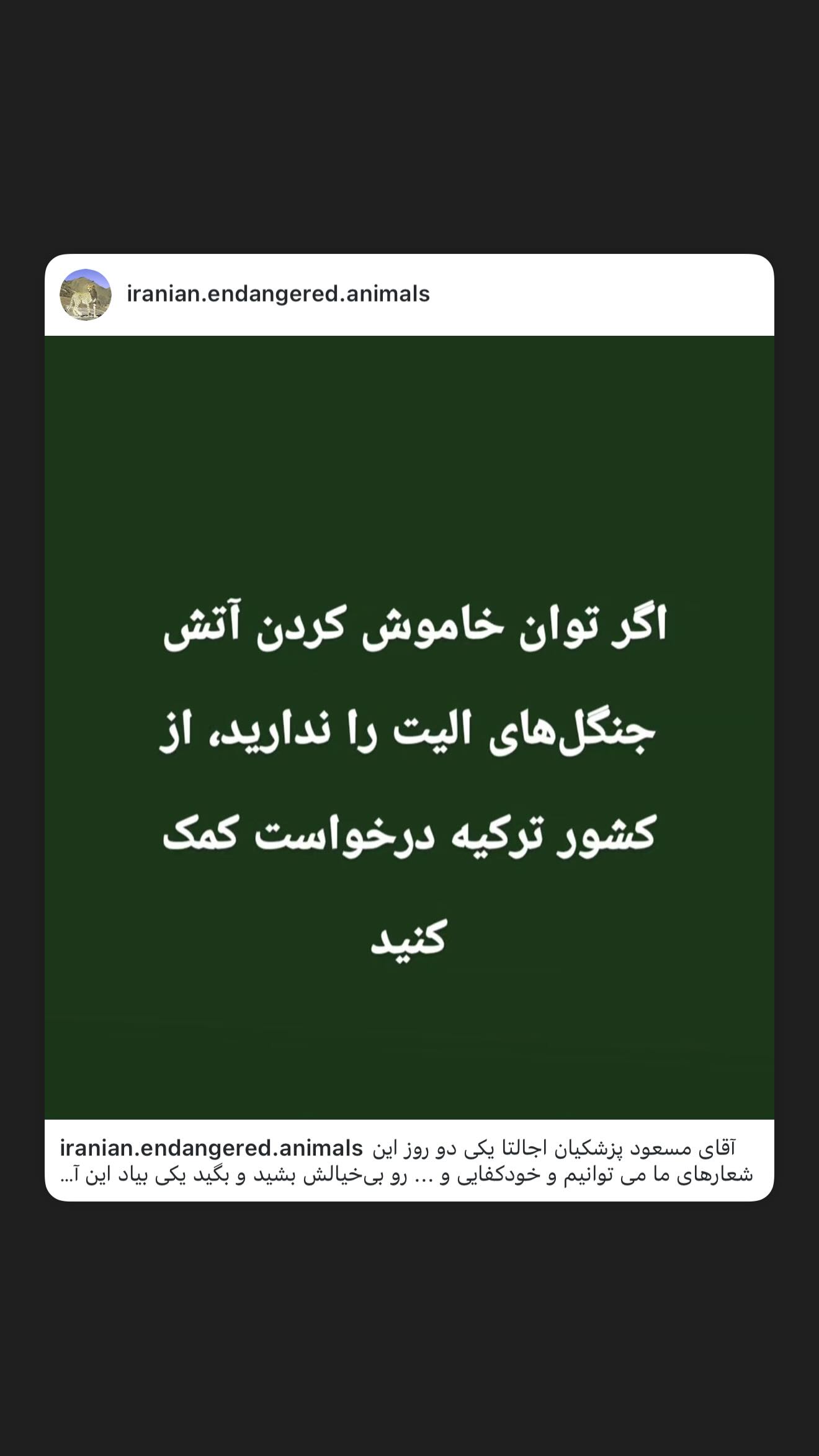  جدید ترین استوری اینستاگرام طناز طباطبایی