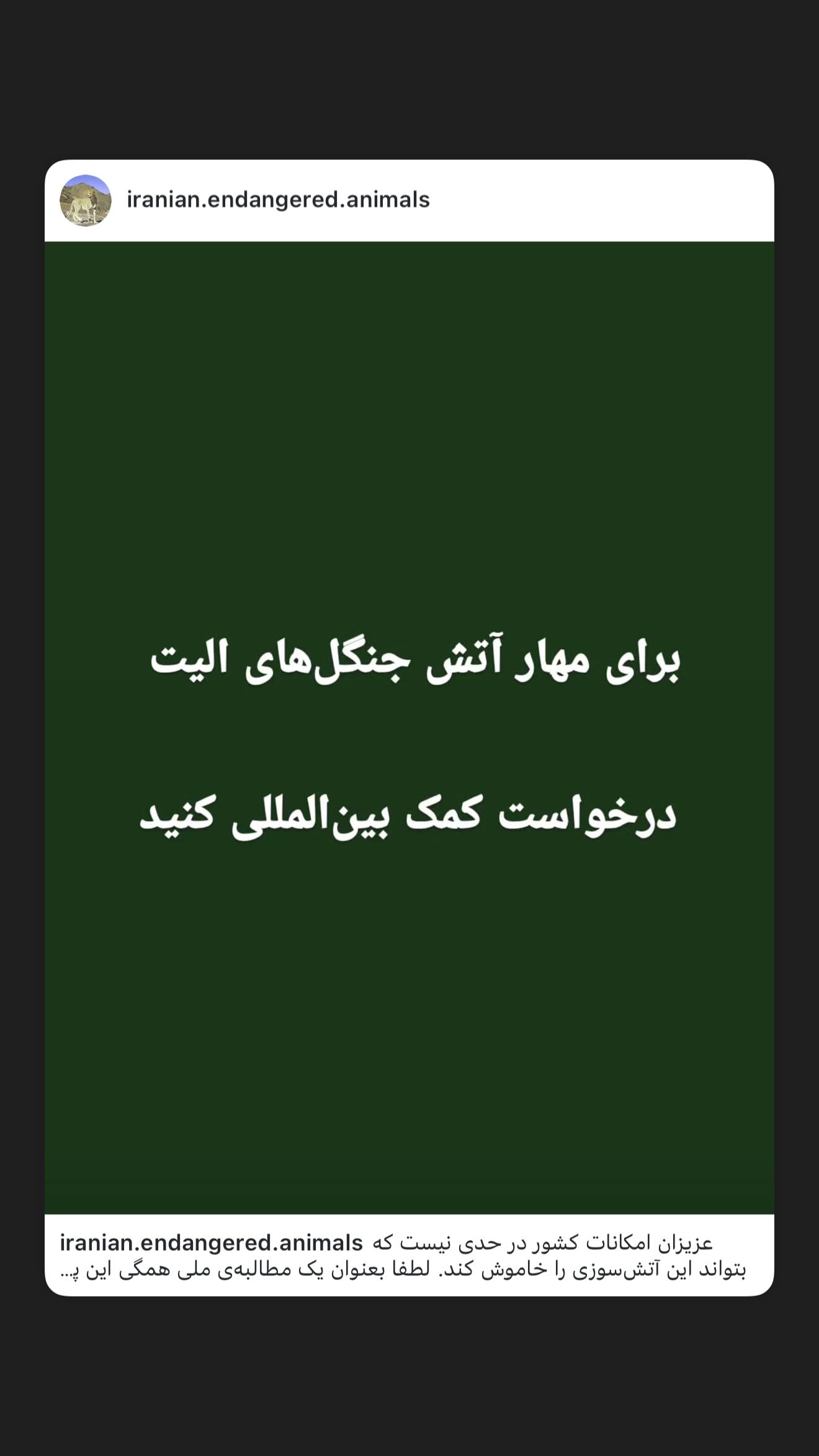 جدید ترین استوری اینستاگرام طناز طباطبایی