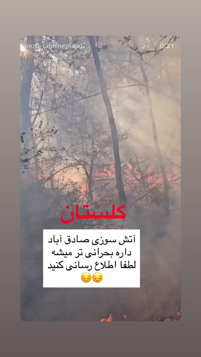  جدید ترین استوری اینستاگرام طناز طباطبایی
