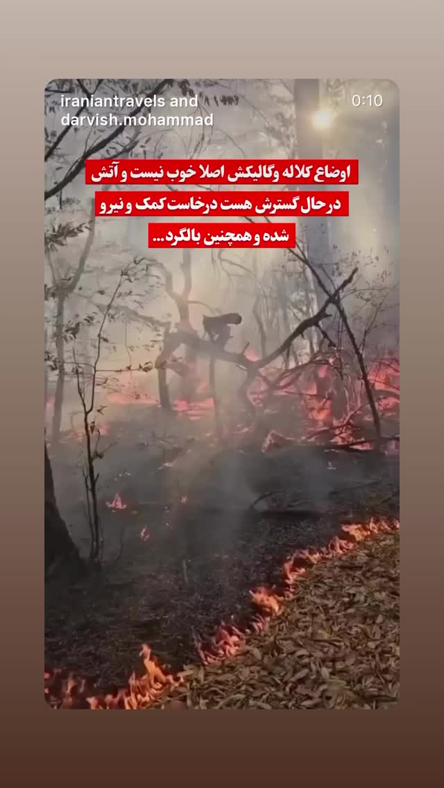  جدید ترین استوری اینستاگرام طناز طباطبایی