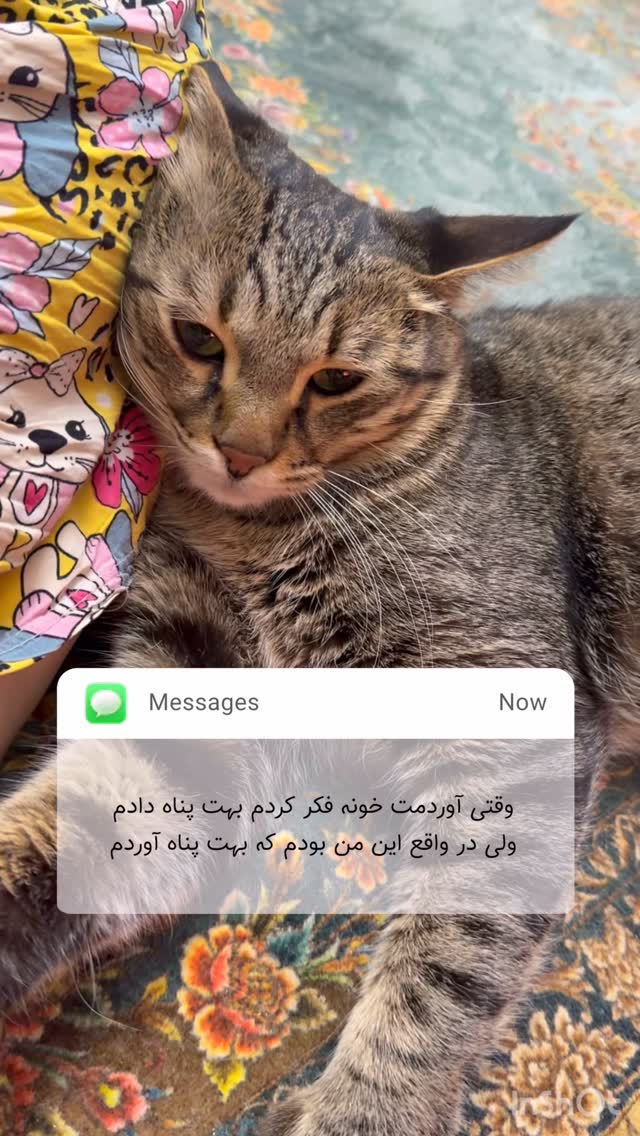  جدید ترین استوری اینستاگرام طناز فراهانی