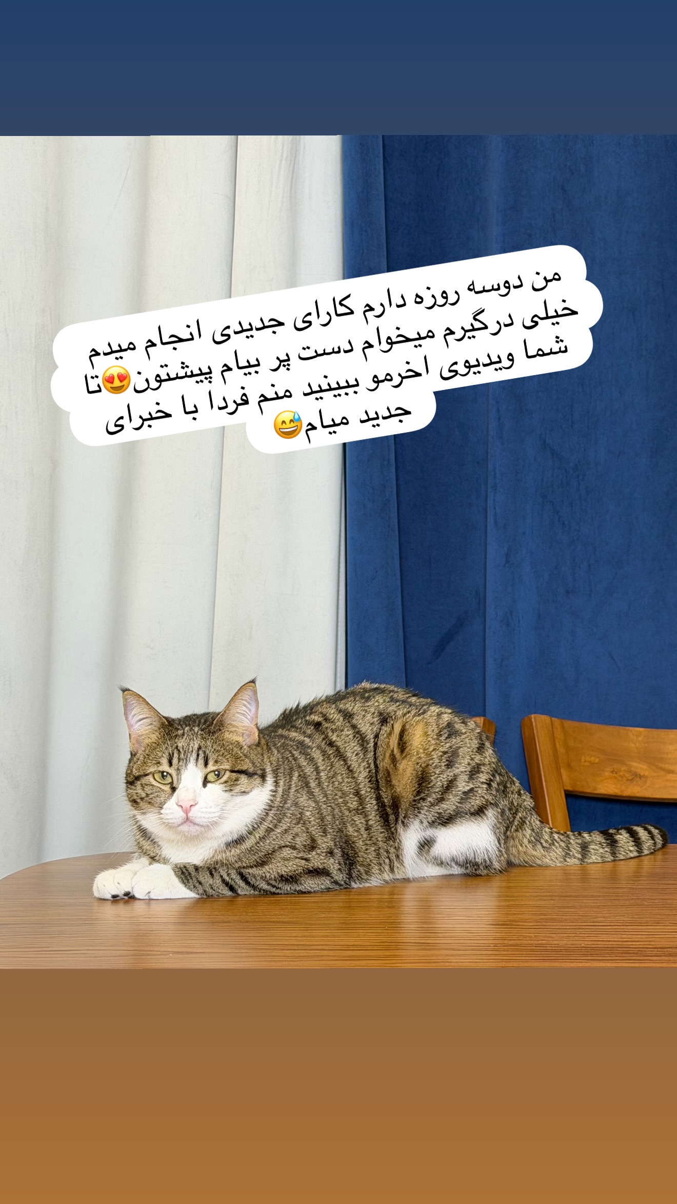  جدید ترین استوری اینستاگرام طناز فراهانی