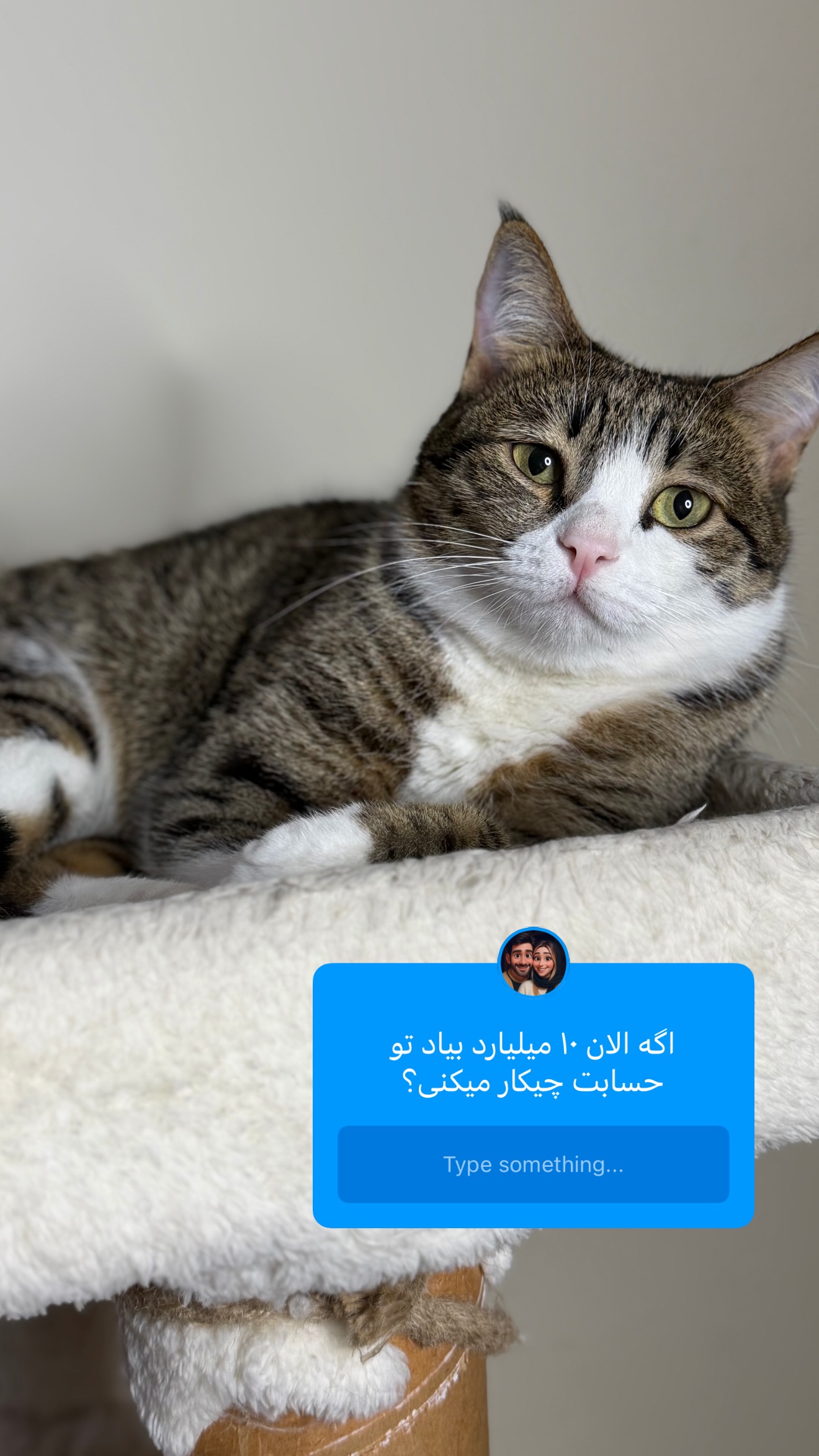  جدید ترین استوری اینستاگرام طناز فراهانی
