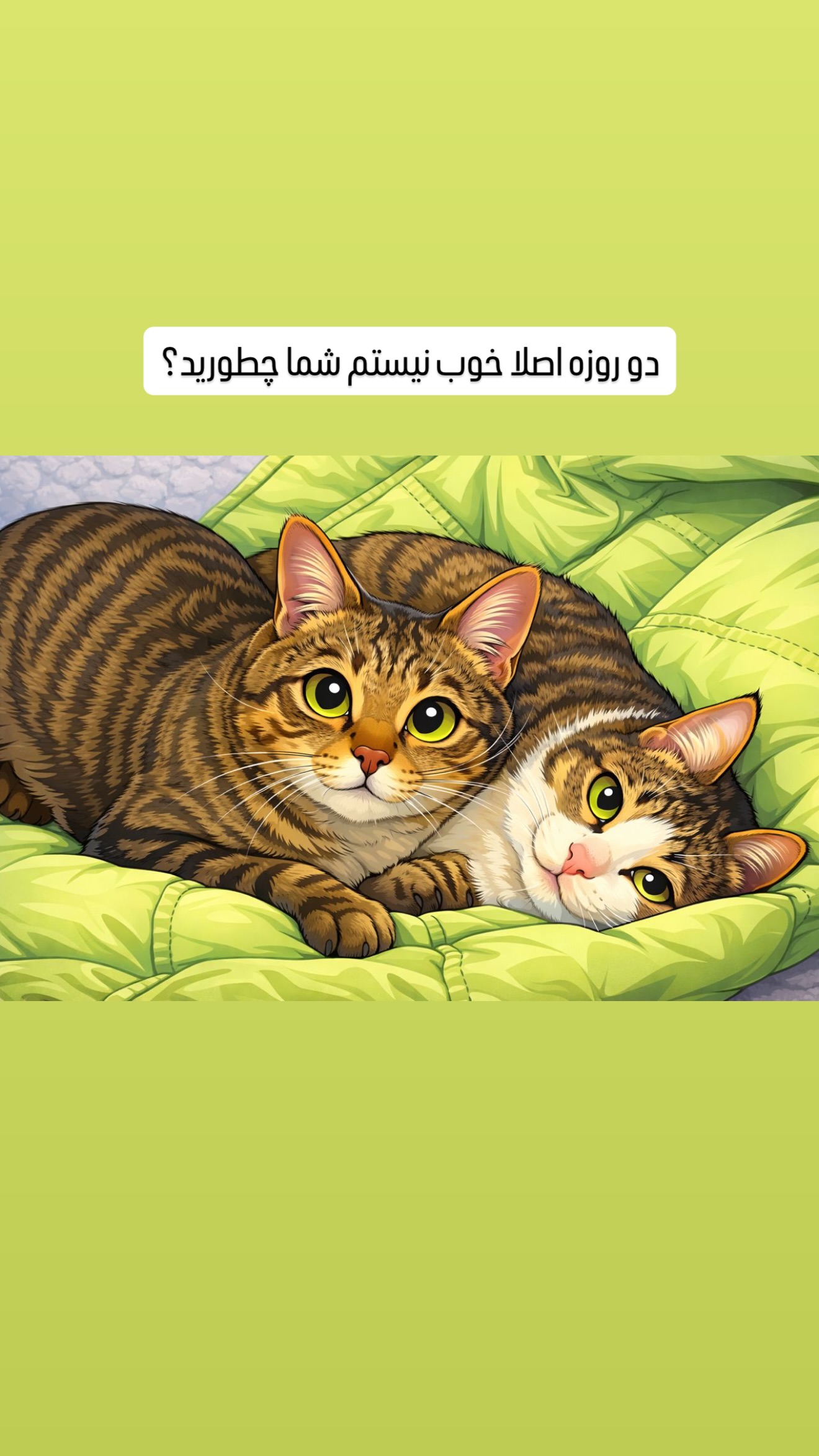  جدید ترین استوری اینستاگرام طناز فراهانی