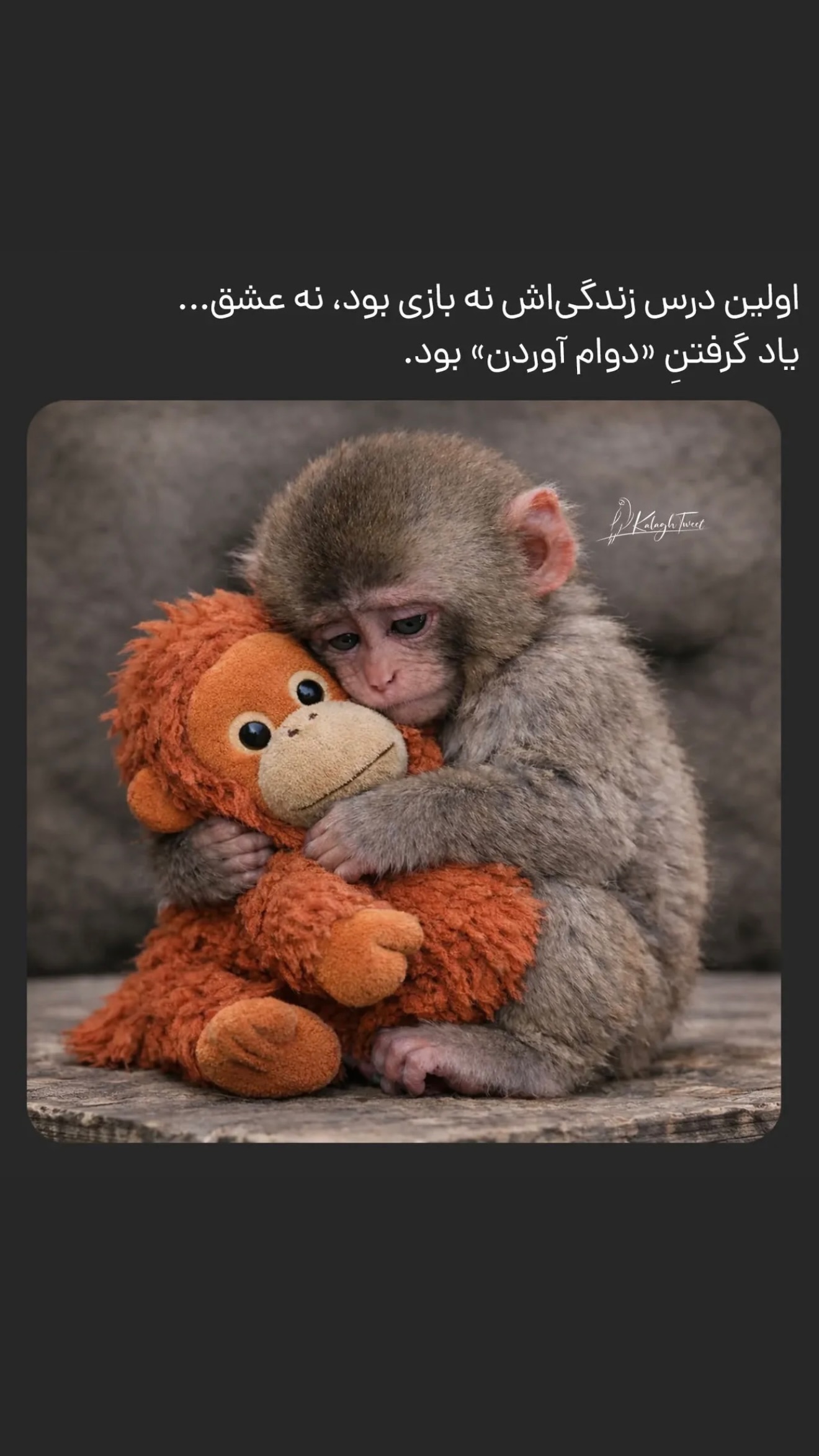  جدید ترین استوری اینستاگرام طناز فراهانی