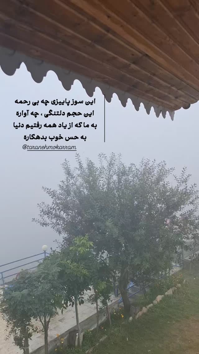  جدید ترین استوری اینستاگرام ترانه مکرم