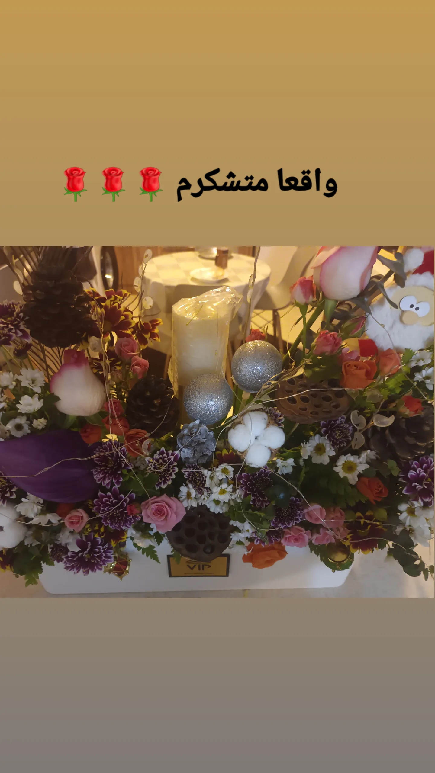  جدید ترین استوری اینستاگرام ترانه مکرم