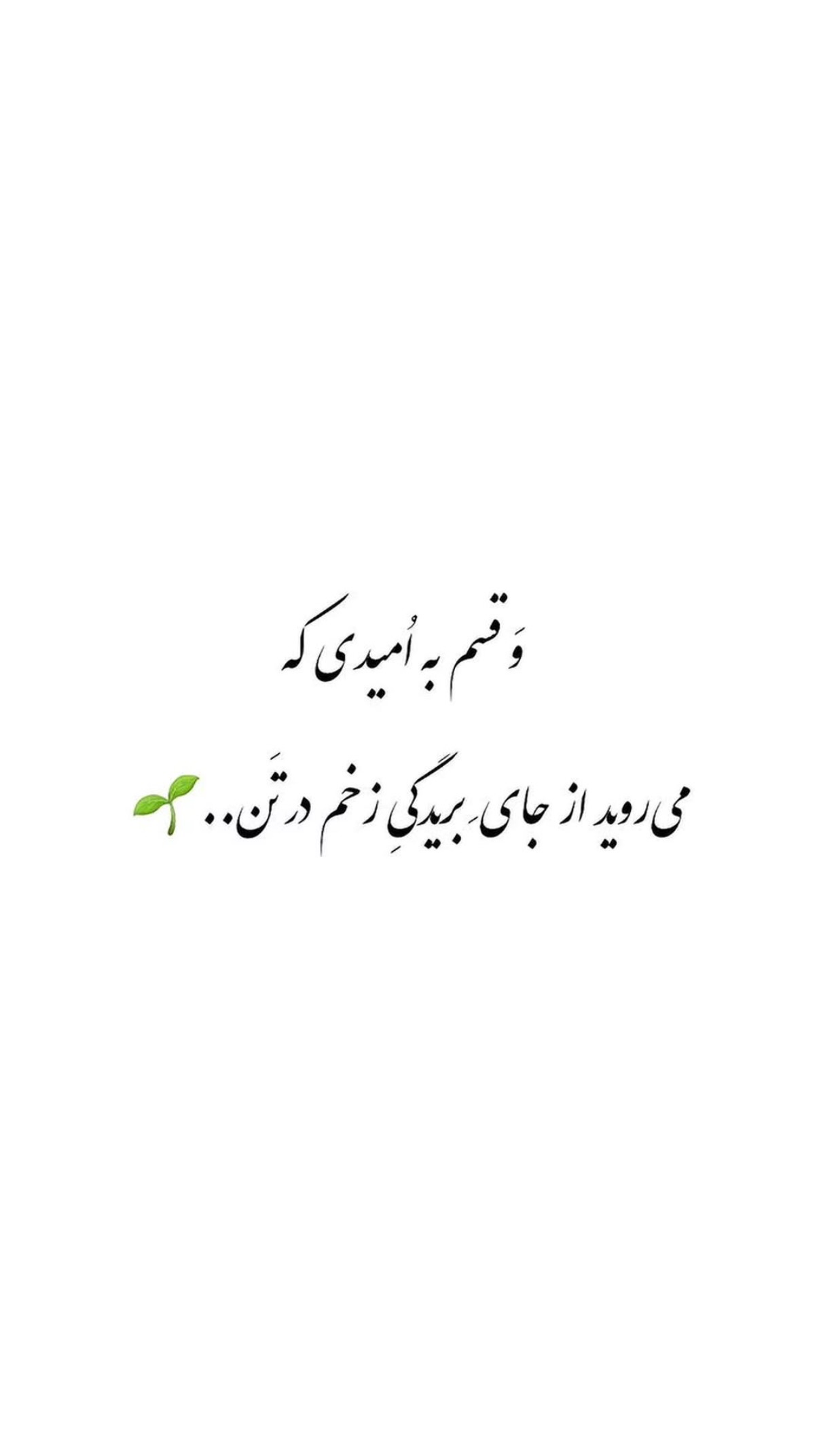  جدید ترین استوری اینستاگرام ترلان پروانه