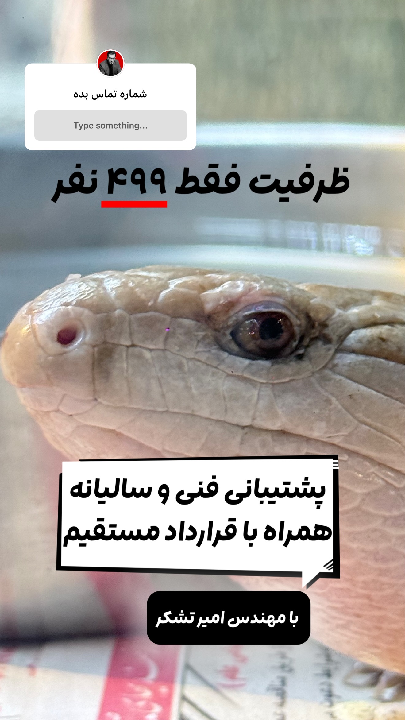  جدید ترین استوری اینستاگرام امیر تشکر