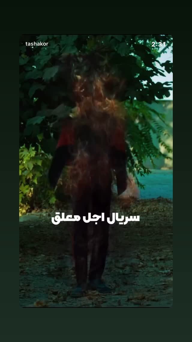 جدید ترین استوری اینستاگرام امیر تشکر