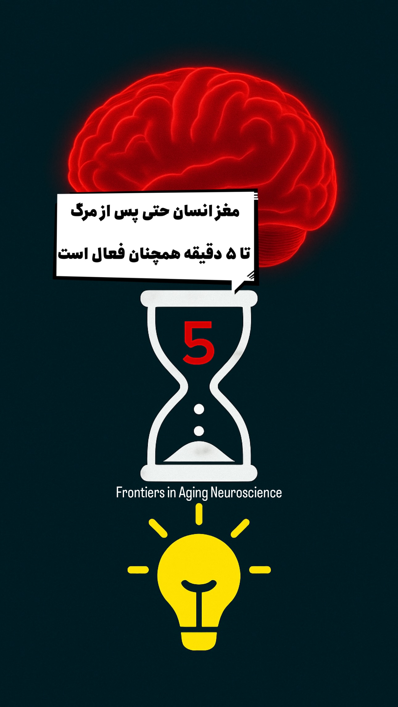  جدید ترین استوری اینستاگرام امیر تشکر