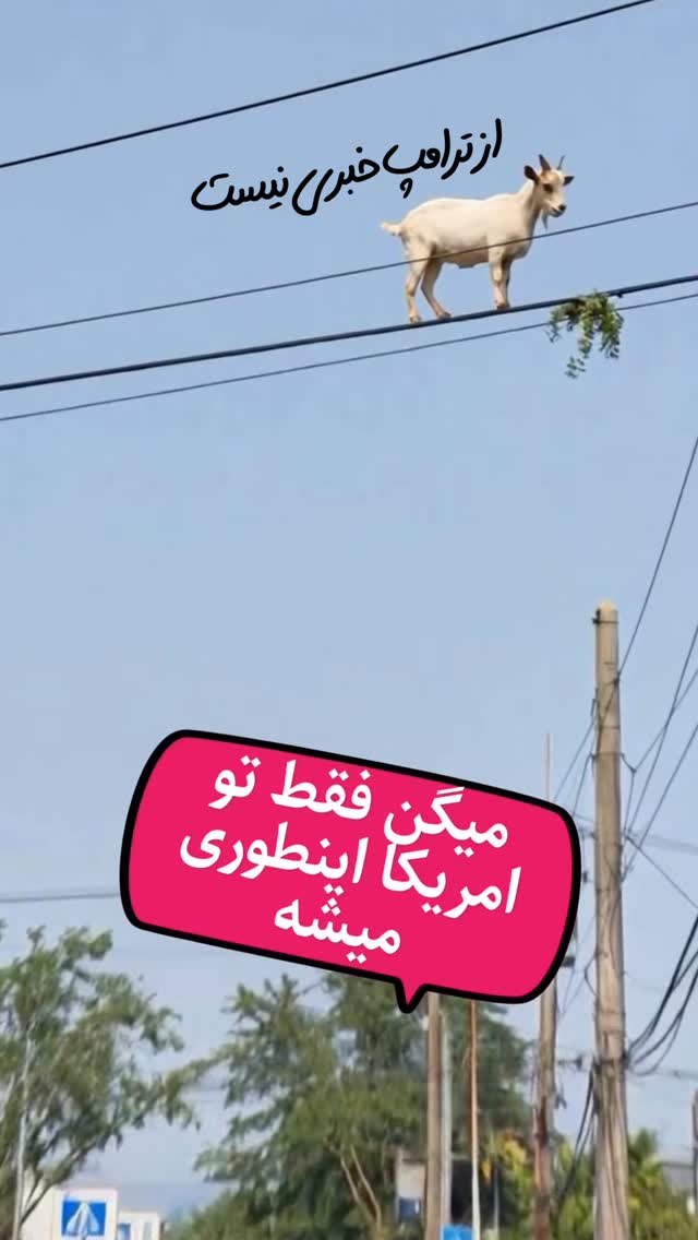  جدید ترین استوری اینستاگرام امیر تشکر