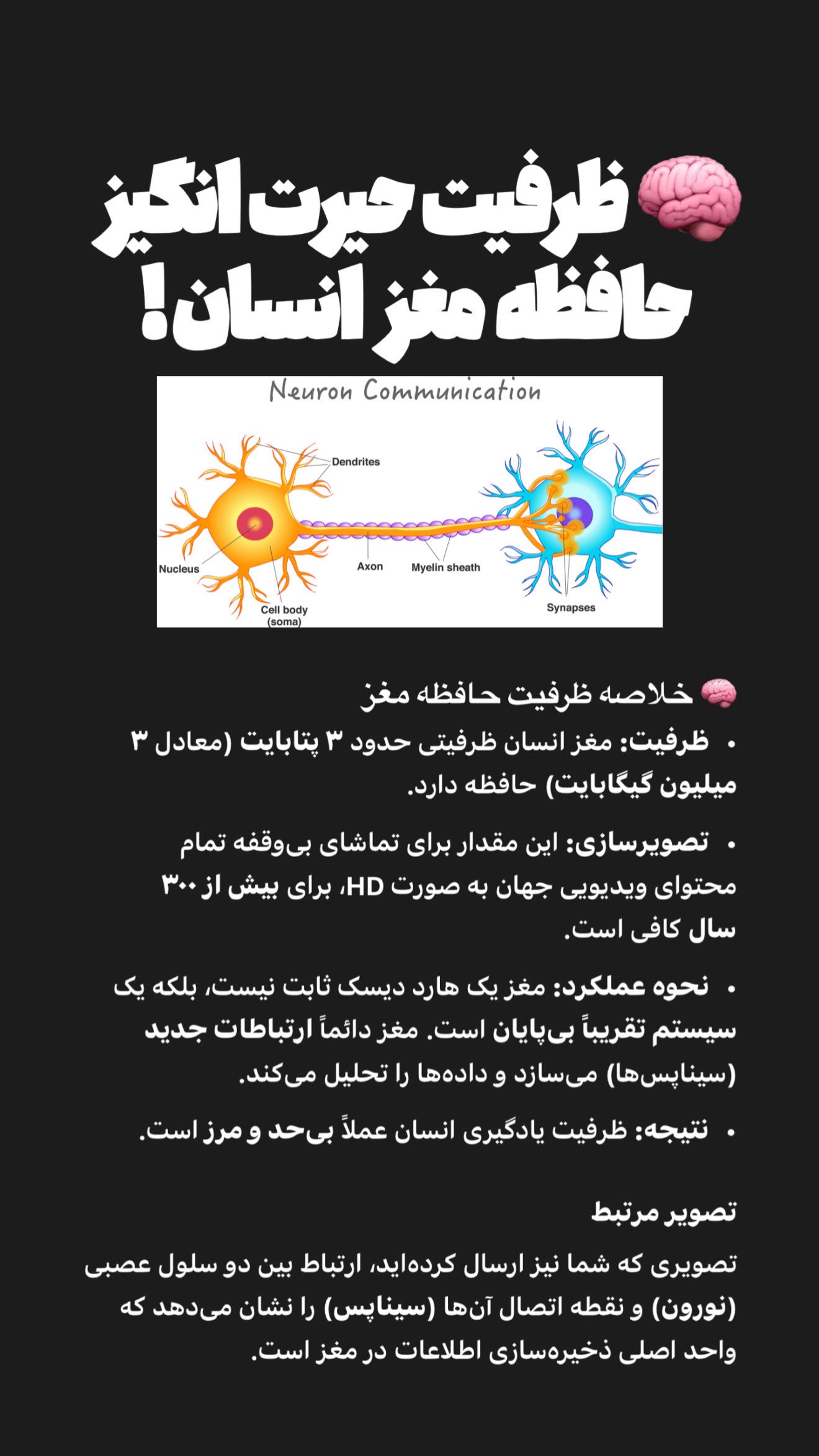  جدید ترین استوری اینستاگرام امیر تشکر