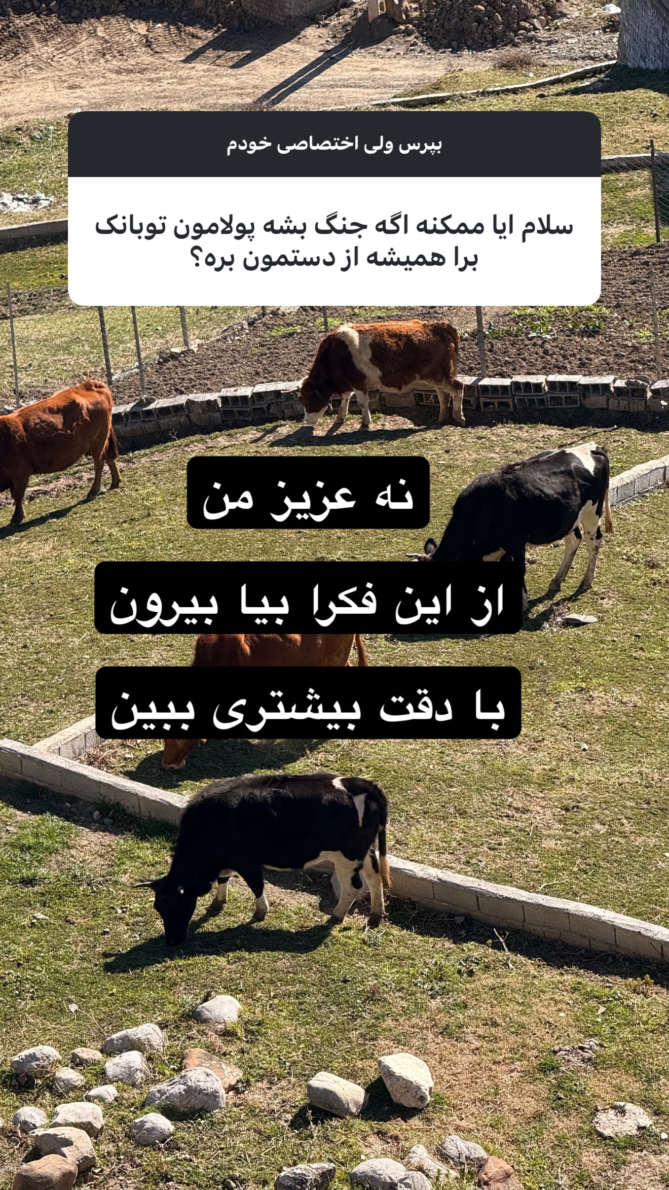  جدید ترین استوری اینستاگرام امیر تشکر