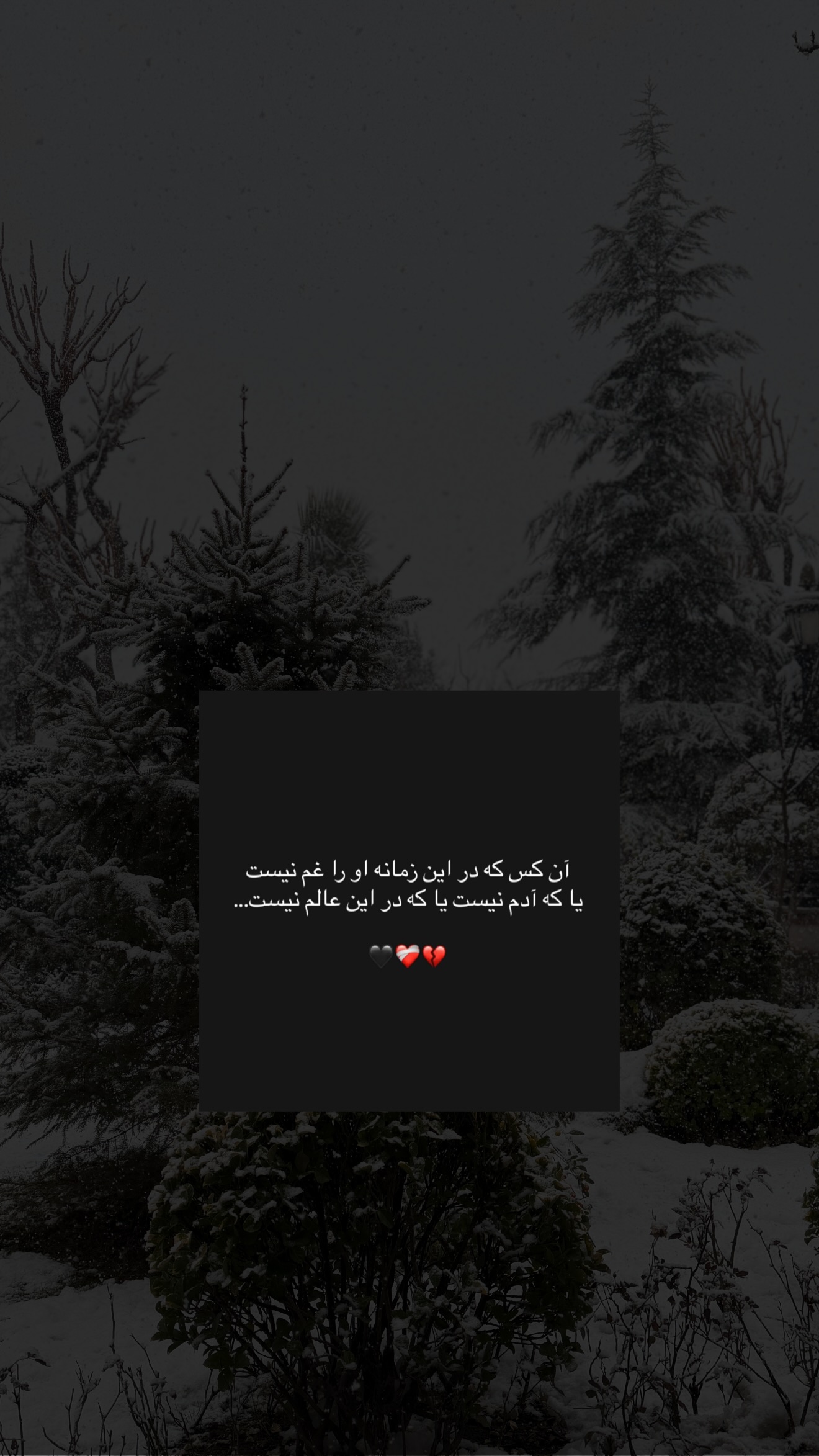  جدید ترین استوری اینستاگرام نرگس دهقانی