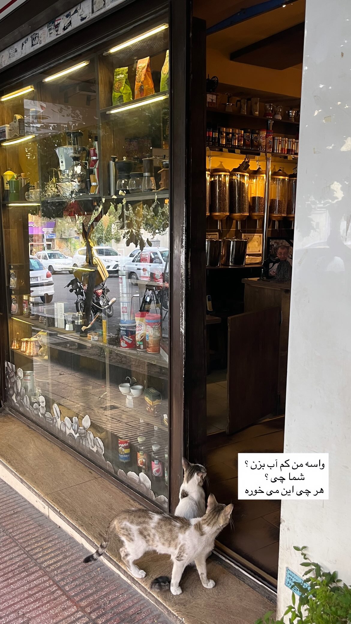  جدید ترین استوری اینستاگرام محمد حسین توسلی رکن آبادی