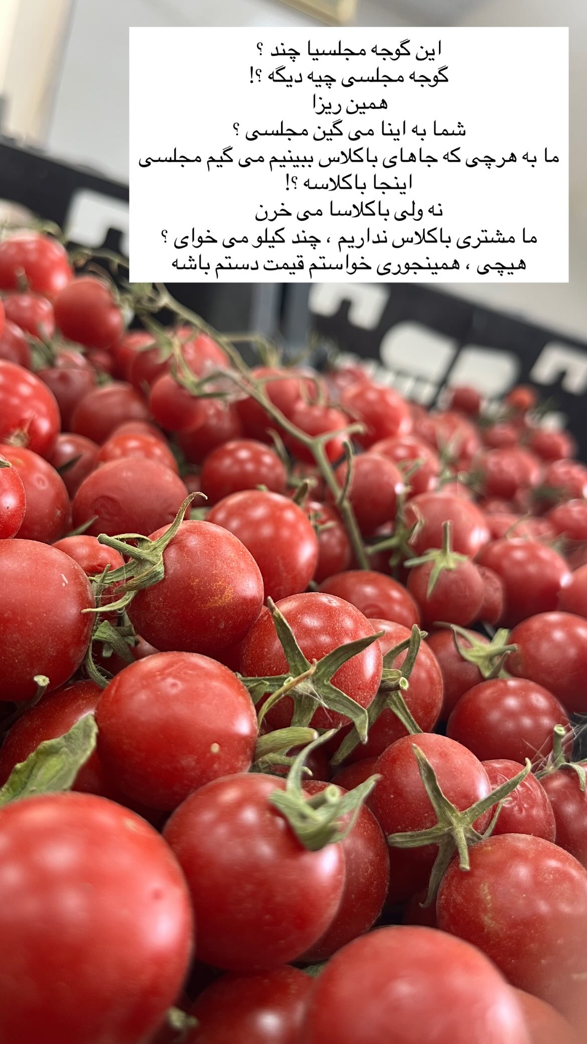  جدید ترین استوری اینستاگرام محمد حسین توسلی رکن آبادی