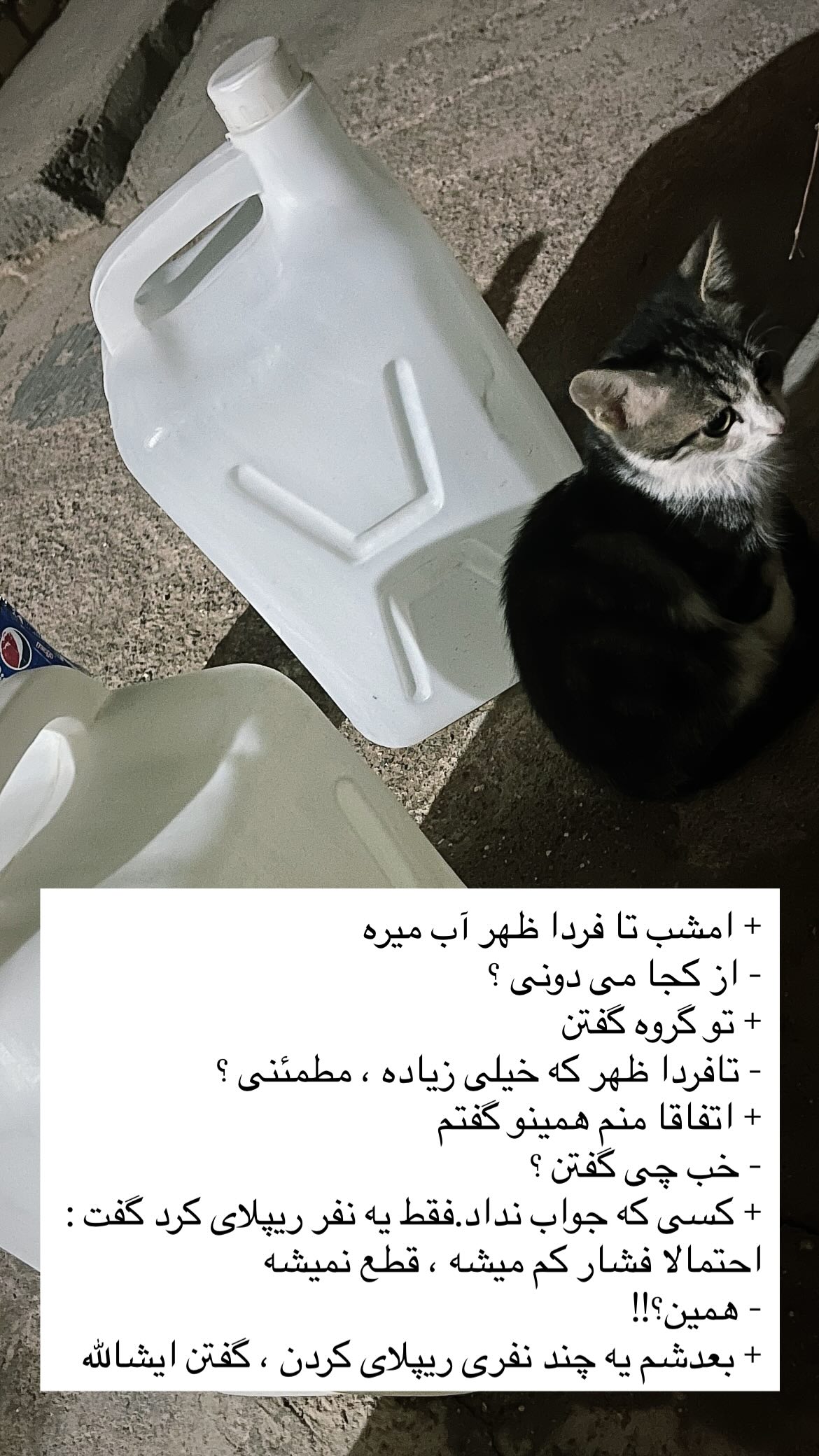  جدید ترین استوری اینستاگرام محمد حسین توسلی رکن آبادی