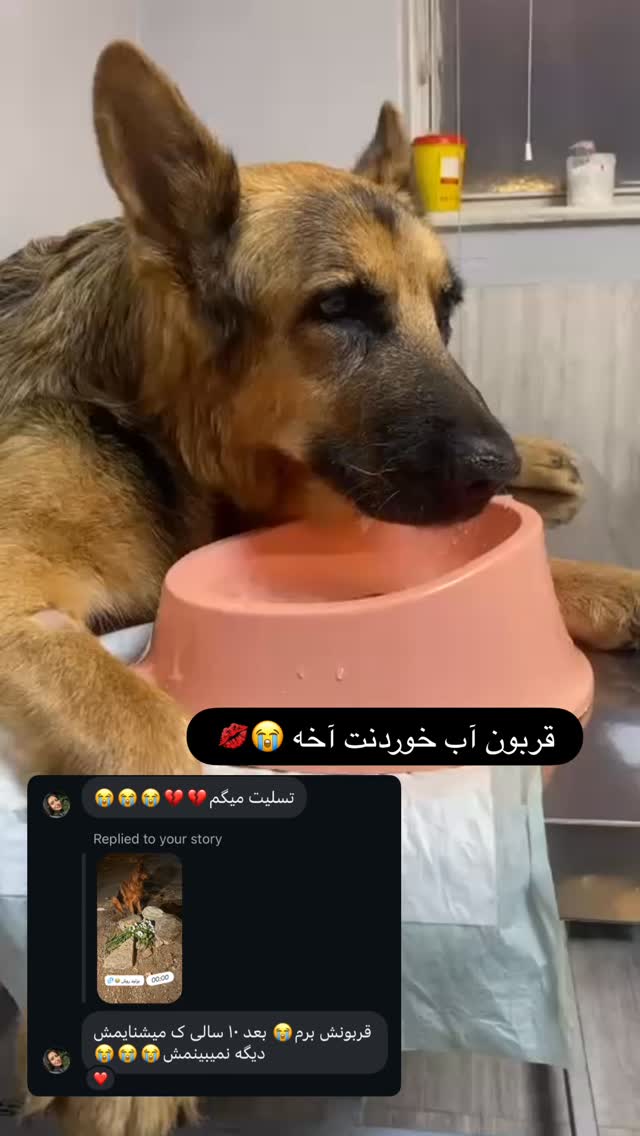  جدید ترین استوری اینستاگرام مسعود رضوی