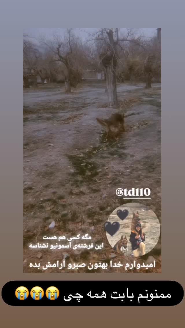  جدید ترین استوری اینستاگرام مسعود رضوی