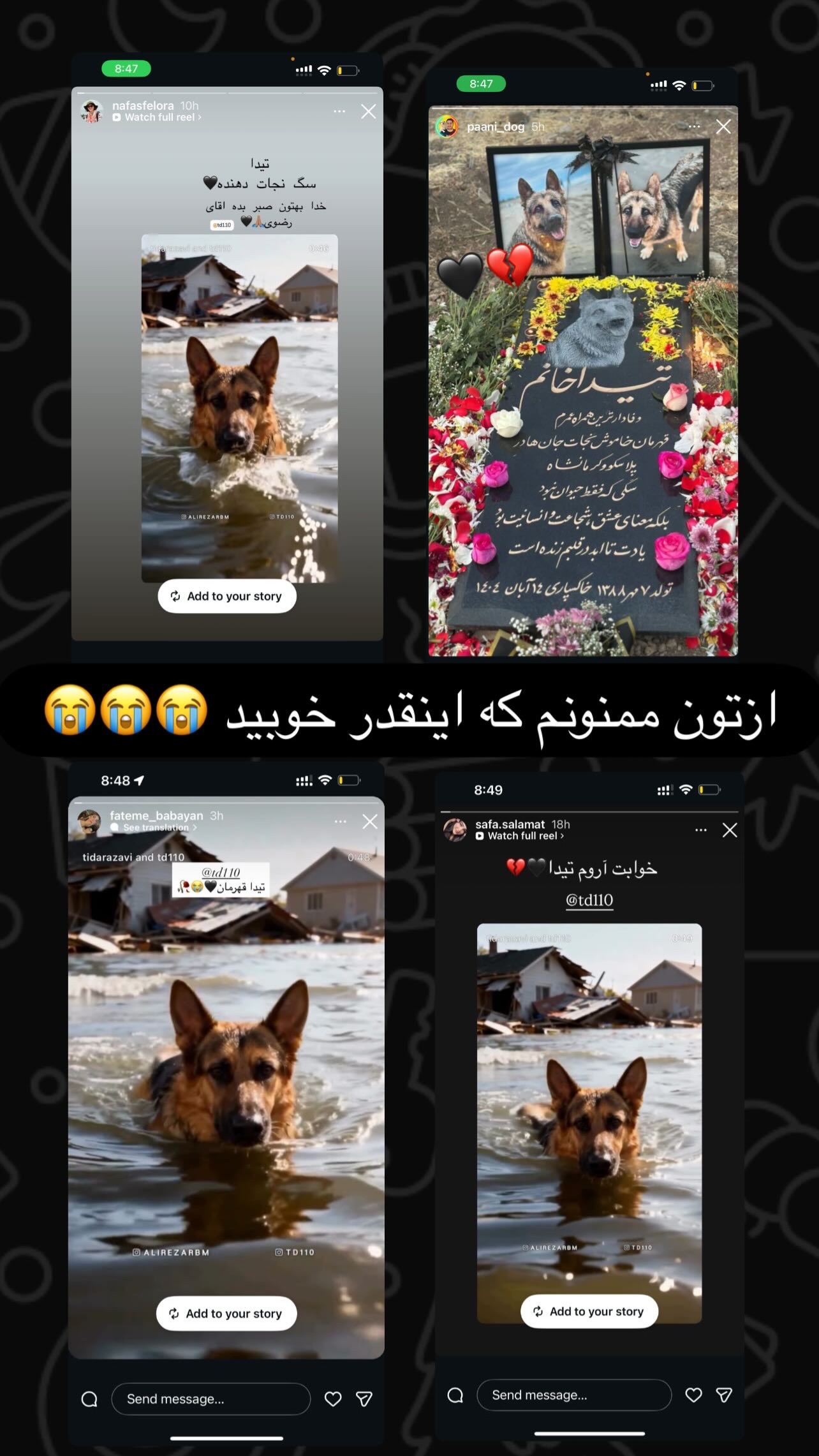  جدید ترین استوری اینستاگرام مسعود رضوی