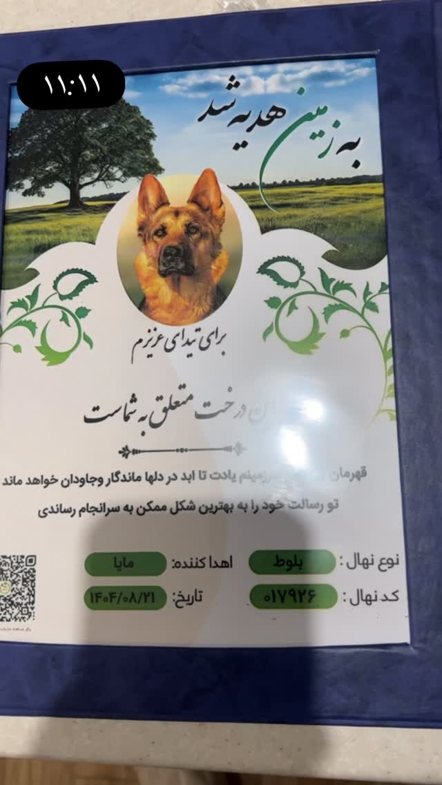  جدید ترین استوری اینستاگرام مسعود رضوی