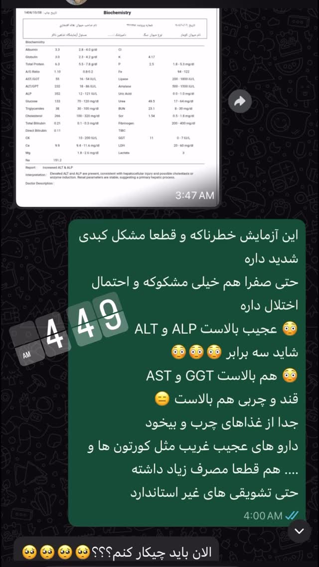  جدید ترین استوری اینستاگرام مسعود رضوی