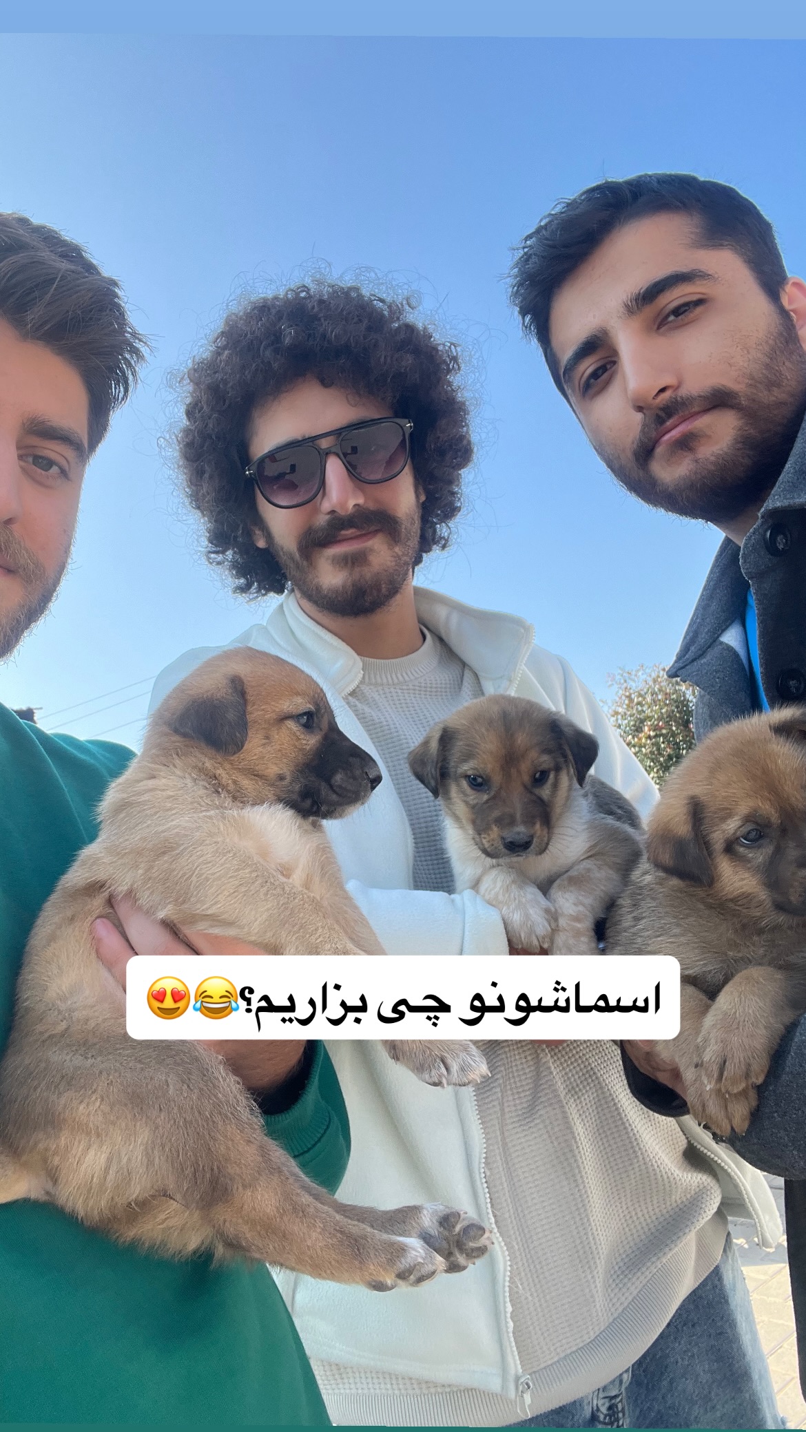  جدید ترین استوری اینستاگرام یلان