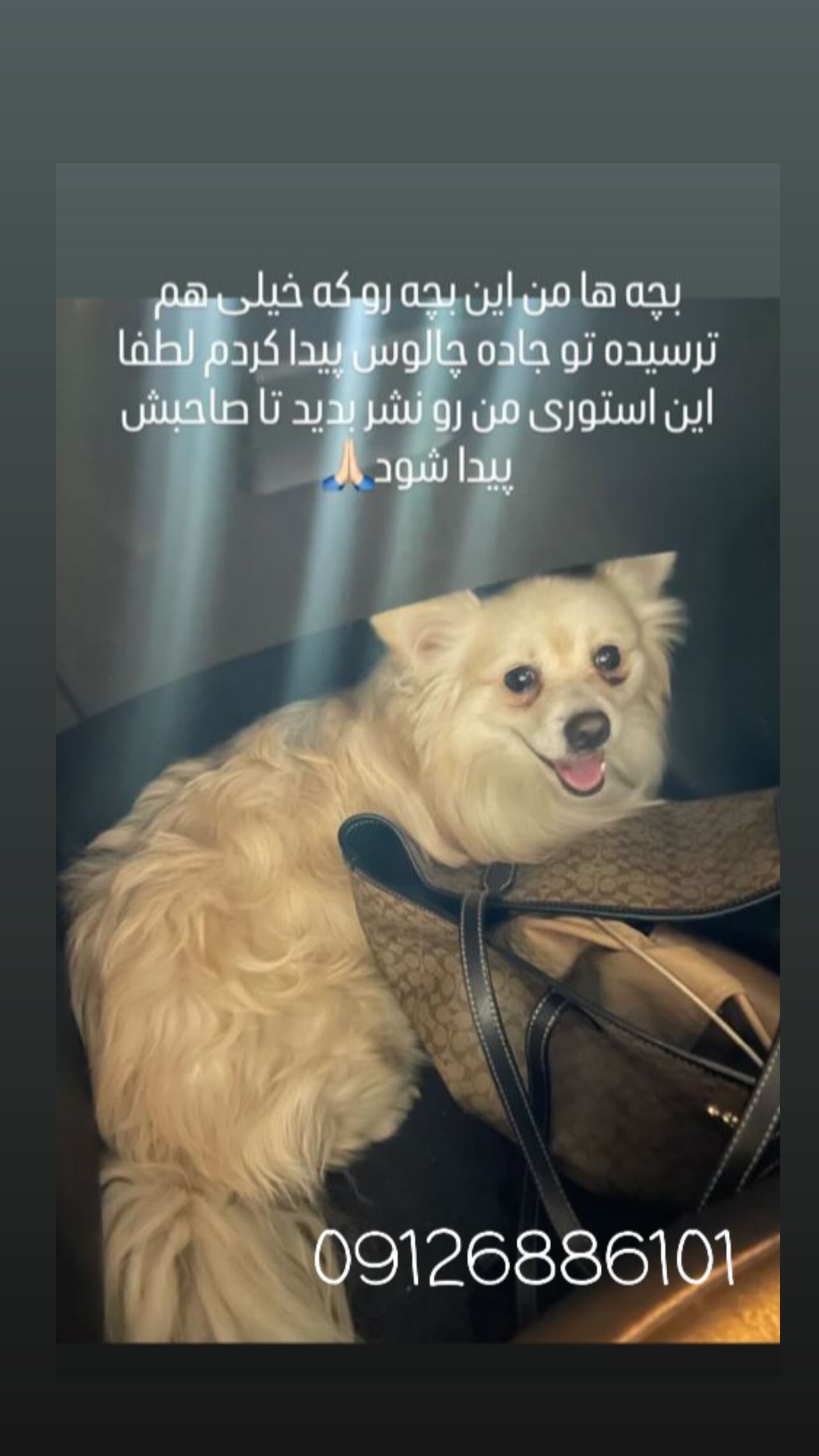  جدید ترین استوری اینستاگرام تینا پاکروان