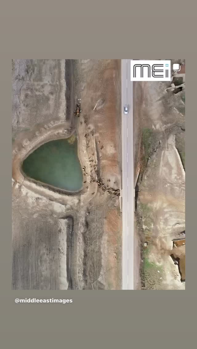  جدید ترین استوری اینستاگرام تینا پاکروان