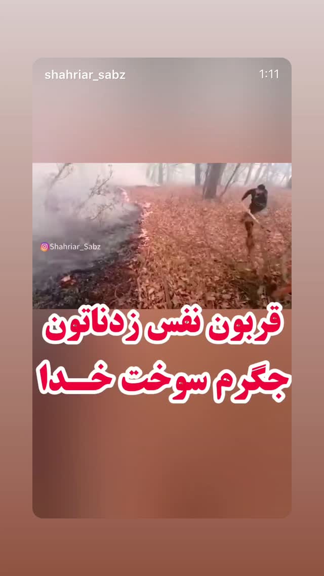 جدید ترین استوری اینستاگرام تینا پاکروان