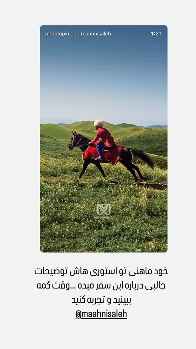  جدید ترین استوری اینستاگرام علی جمشیدی
