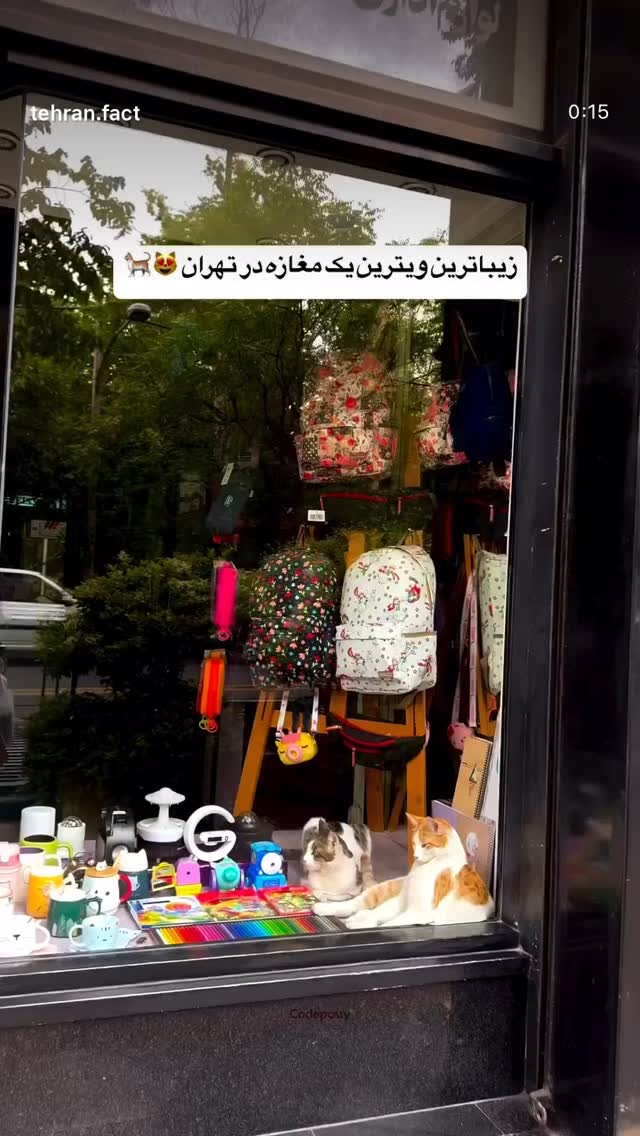  جدید ترین استوری اینستاگرام علی جمشیدی