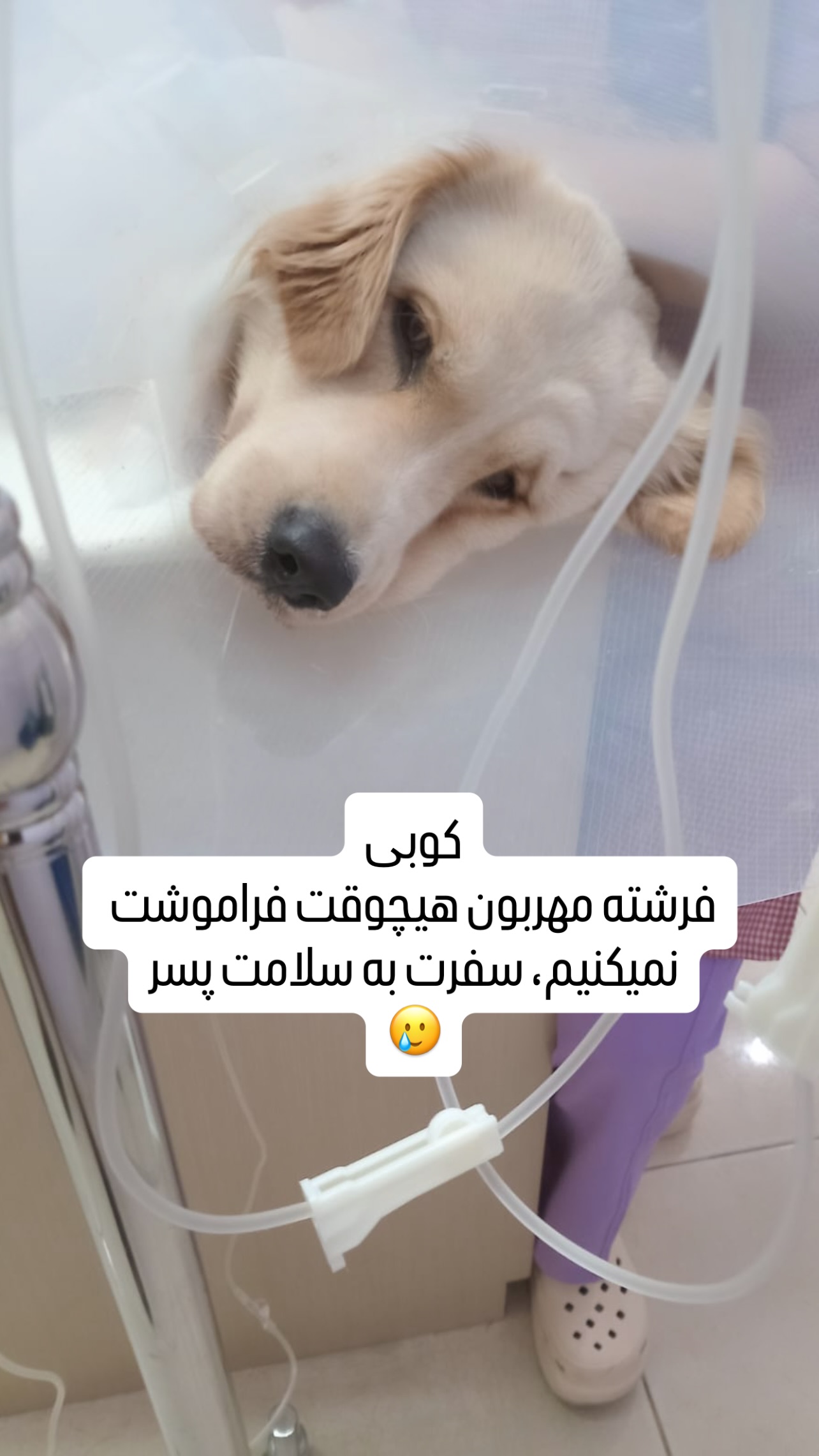  جدید ترین استوری اینستاگرام علی جمشیدی