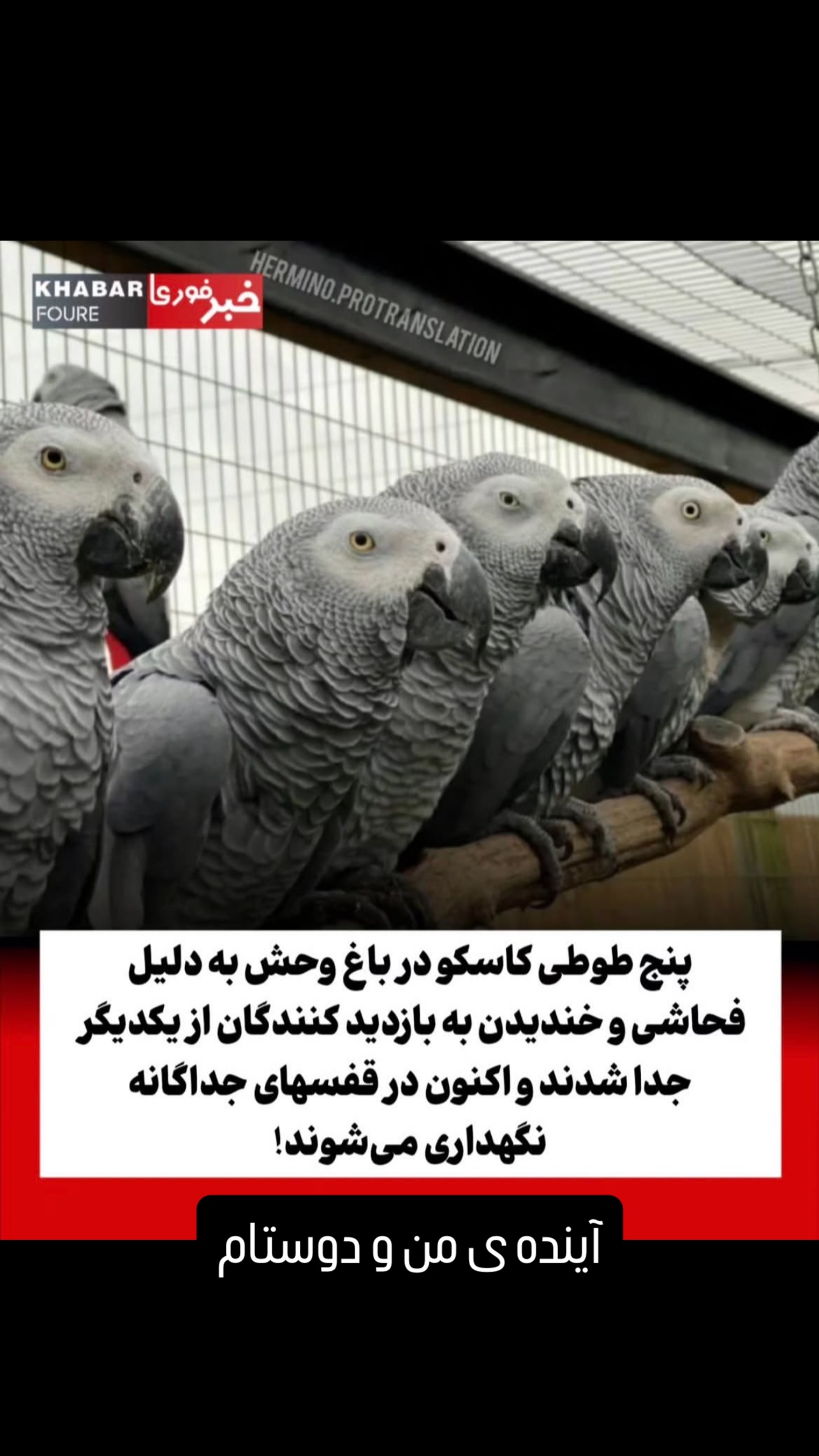  جدید ترین استوری اینستاگرام علی جمشیدی