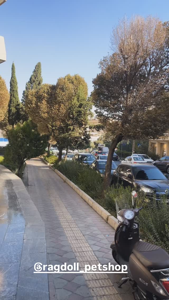  جدید ترین استوری اینستاگرام علی جمشیدی