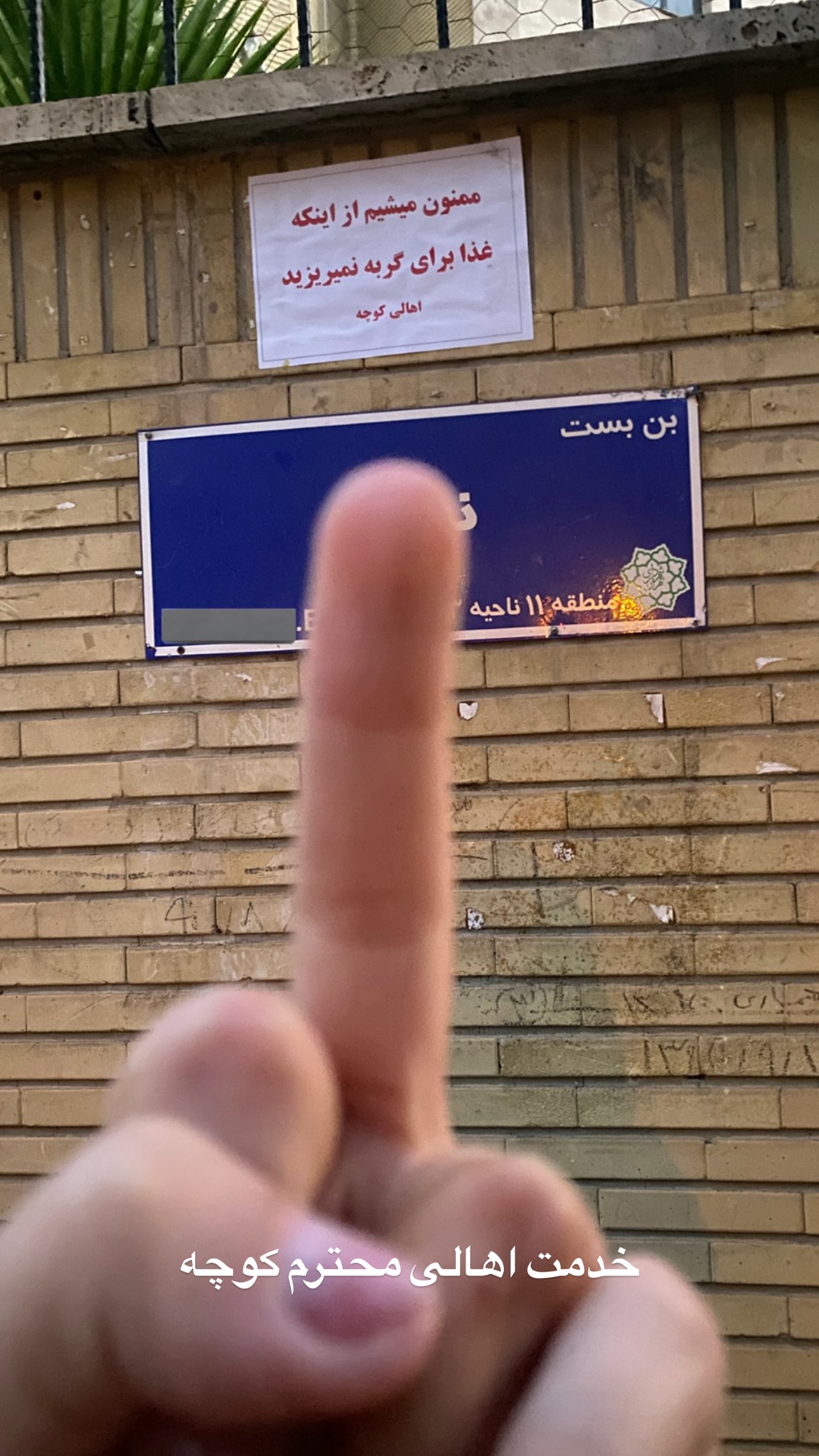  جدید ترین استوری اینستاگرام علی جمشیدی