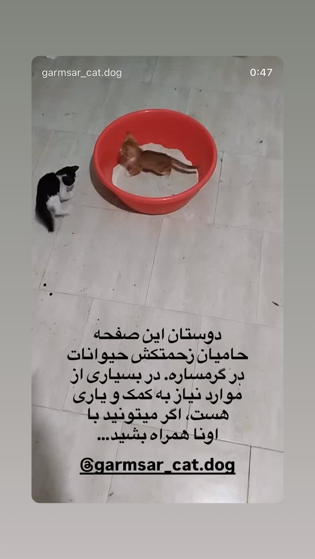  جدید ترین استوری اینستاگرام علی جمشیدی